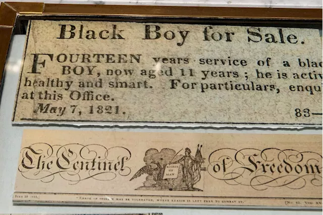 American slavery wasn’t just a white man’s business − new research shows how white women profited, too