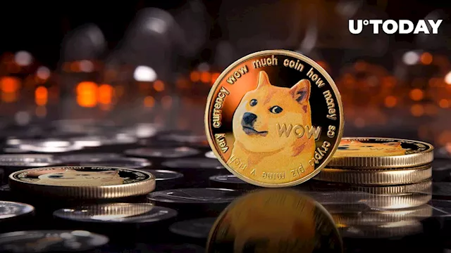 DOGE Creator Stuns Community With Crypto Market State Summary