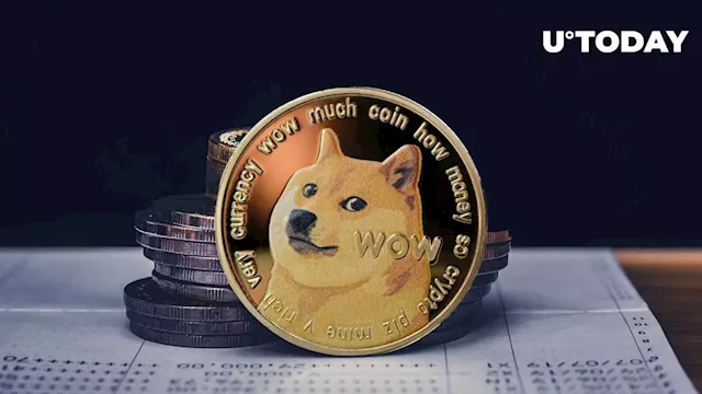 Dogecoin (DOGE) Market Mystery: On-chain Data Reveals Intriguing Holder Trend