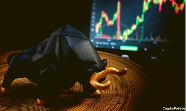 Crypto Market Still in Bull Cycle But There Are Worrying Signs: CryptoQuant