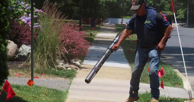 Bans on gas-powered leaf blowers are growing. So is blowback from the landscaping industry