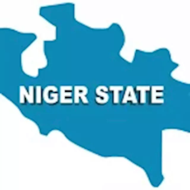 Insecurity will not affect your investment – Niger Govt assures investors