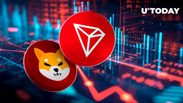 Tron (TRX) Surpasses Shiba Inu (SHIB) in Fresh Market Shift