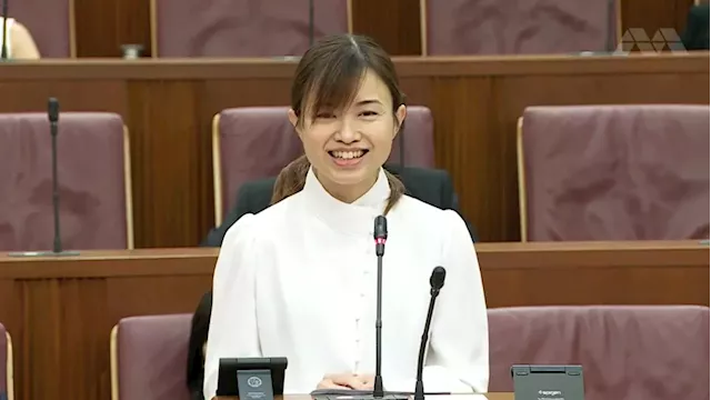 MP Tin Pei Ling joins fintech company MetaComp, leaves payment firm DCS Card Centre after 9 months