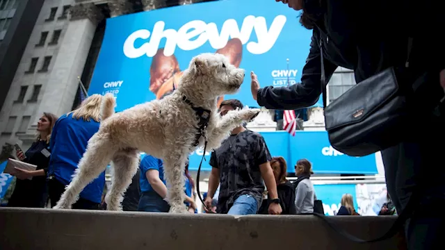 Jim Cramer's top picks for pet-centric stocks