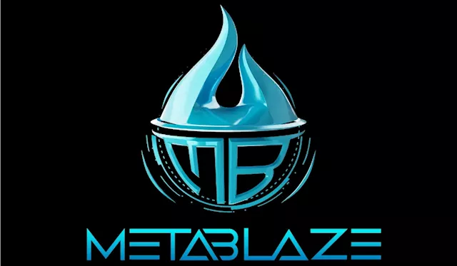 Rookie Crypto Mistakes: Painful Lessons from the MetaBlaze Presale Investment