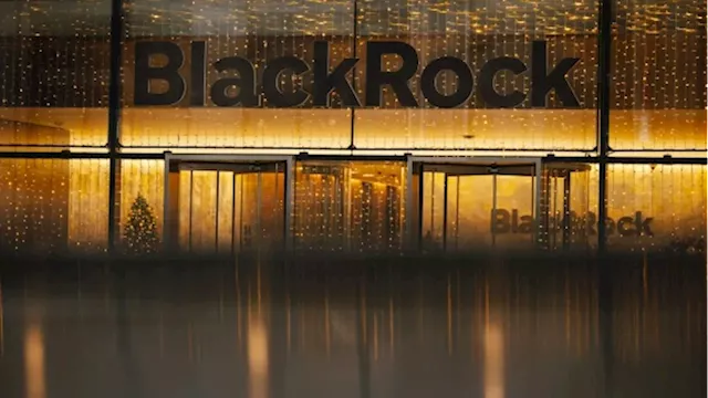 BlackRock Muscles Into Private Assets Market for Wealth Clients