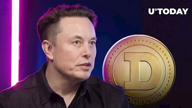 This Elon Musk Company Accepts Dogecoin: DOGE Insider