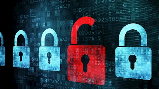 ‘76 per cent of companies improve cyber defence, insurance deals’