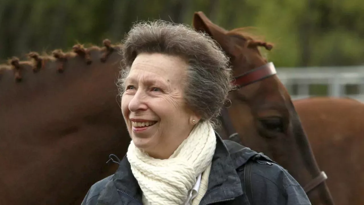 royal-family-princess-anne-returns-home-just-days-after-head-injury