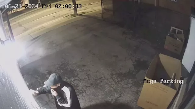 Video shows suspect spray-painting alleged hate graffiti on Hamilton business