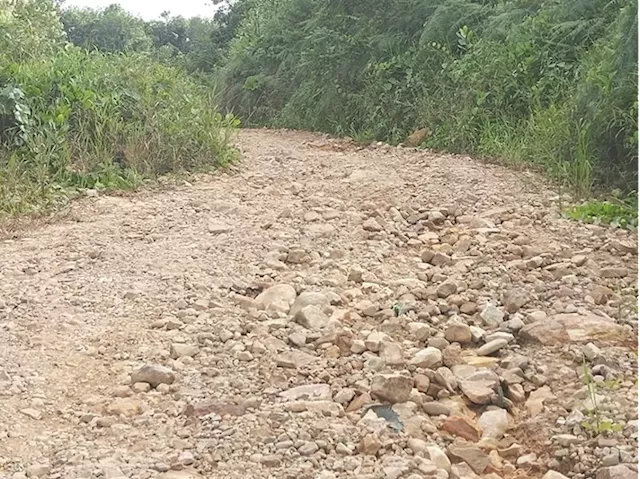 Villagers unable to market produce due to road