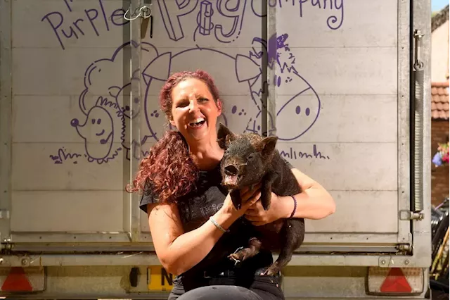 Purple Pig Company: How this pig lover has turned her passion into a business