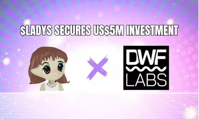 Milady Meme Coin Secures US$5 Million Investment From DWF Labs