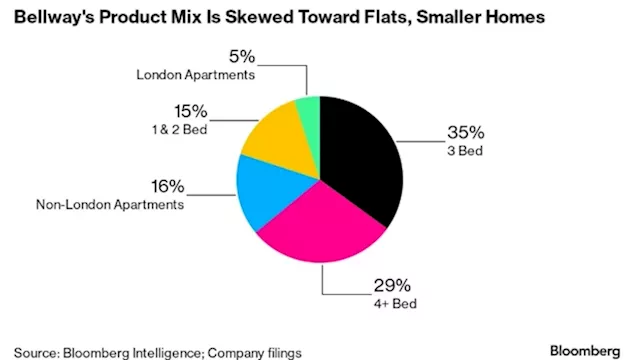 Homebuilder Bellway Sees Signs of Recovery in UK Housing Market