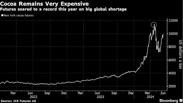 Ivory Coast Bans Some Cocoa Sales in Another Threat to Market