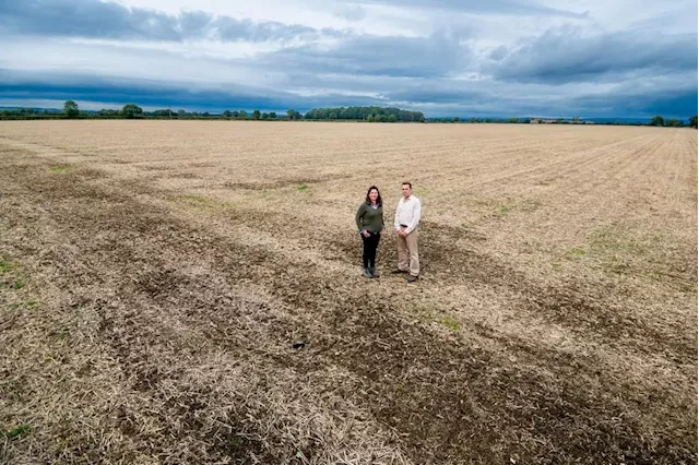 Calls for law changes as case of Yorkshire farmers fighting to save business from solar development highlights flaws in system