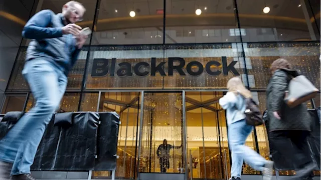 BlackRock Enters Booming Market for Stock ETFs With a 100% Hedge