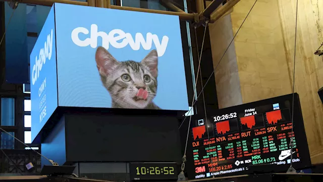 Stocks making the biggest moves midday: Chewy, GameStop, Boeing, Norwegian Cruise Line and more