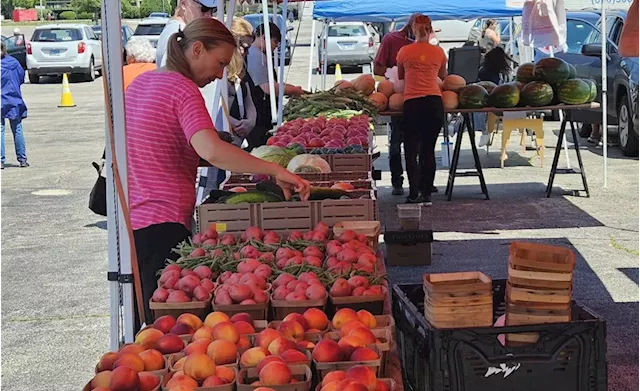 Wednesday farmers market in Aurora offers midweek option for shoppers