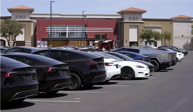 Tesla EV market share drops below 50%