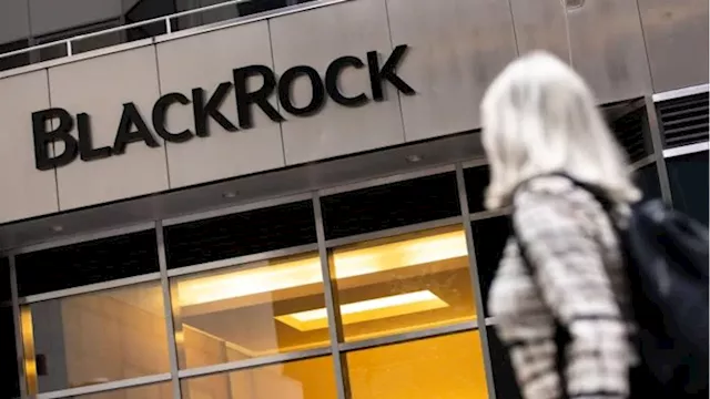 BlackRock’s private market ETF ambitions draw scepticism