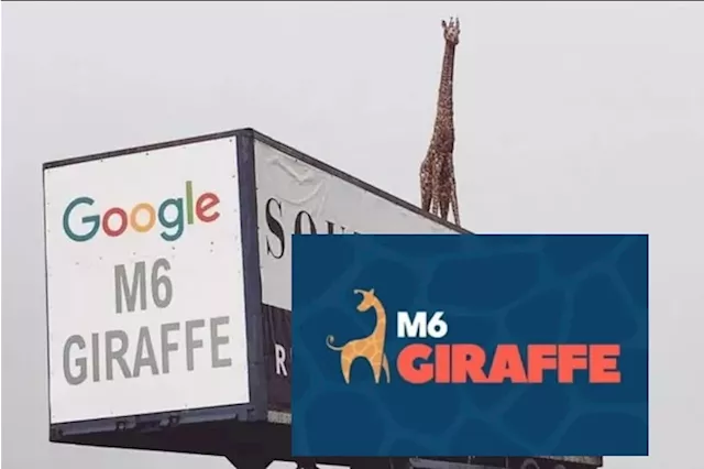 Preston business confirm the M6 Giraffe is making its return: Here is all you need to know