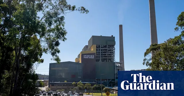 Power prices rise after companies use rivals’ outages to ‘profit maximise’, Australian regulator says