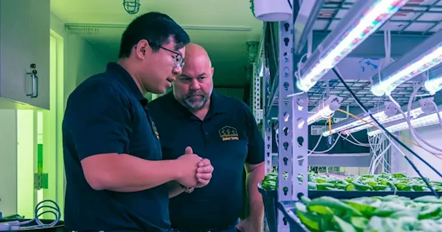 Phoenix clean tech startup Homer Farms taps into growing produce market