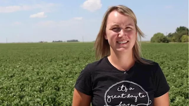 Alberta's potato industry is booming thanks to a global appetite for french fries