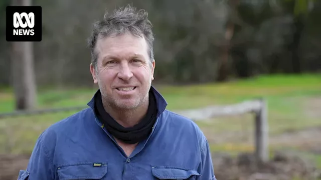 Sheep farmer calls on industry to move on from live export fight, find new markets to save sector