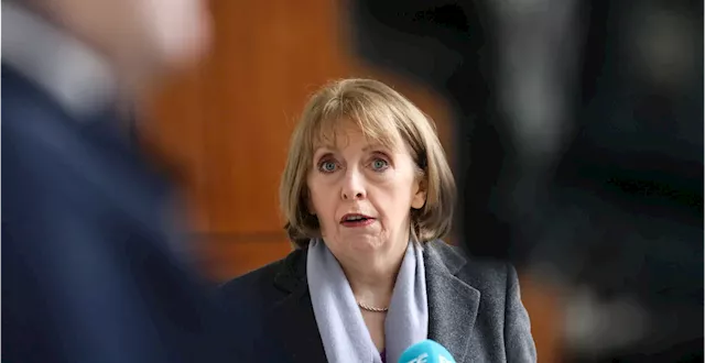 'Nobody thinks it's a good idea' - Shortall on Social Democrats-Labour merger