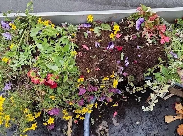 Planter near market hall 'ripped from railings' in town's latest vandalism attack