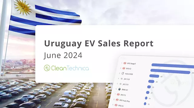 Uruguay EV Sales Report June: BYD Dominates, Unreal Growth Brings BEV Market Share to 15%!