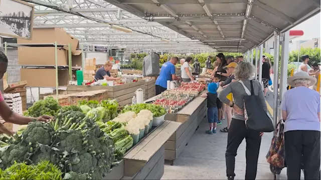 A cornerstone of Hintonburg, Parkdale Public Market celebrates 100 years