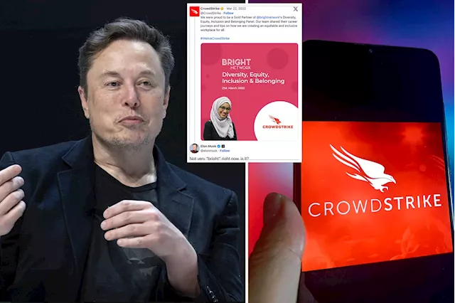 Elon Musk takes several shots at CrowdStrike after global outage -- including taking aim at company's DEI policy