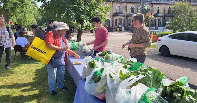 There's a pay-what-you-can farmers' market in Toronto this summer