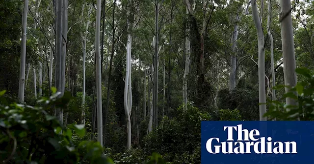 Australia’s major food companies failing nature, report finds