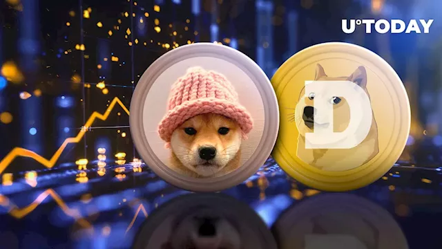 Dogecoin (DOGE) Market Cap Back Above $20 Billion, While WIF Posts Double-Digit Gains