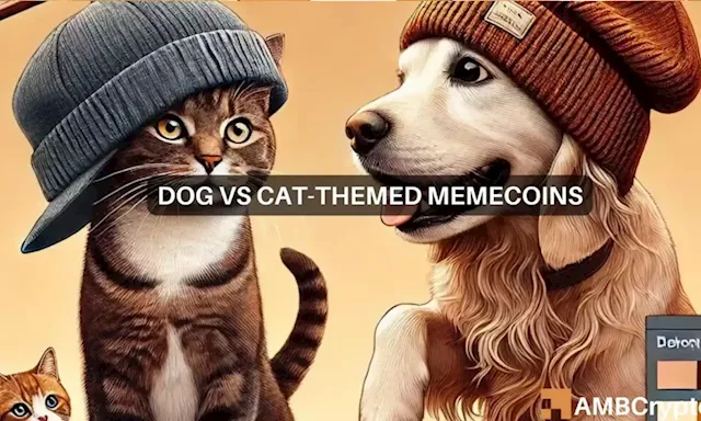 Dogs vs. cats rivalry take memecoins to $54 billion market cap