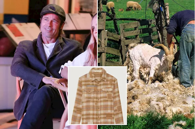  Brad Pitt's cashmere business slammed by PETA for claiming wool is 'responsibly sourced'