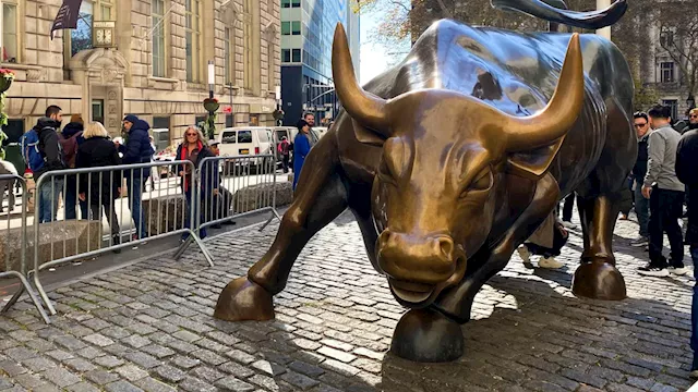 We're in a 'buffalo' market, Bank of America says. Here's what that means for investors