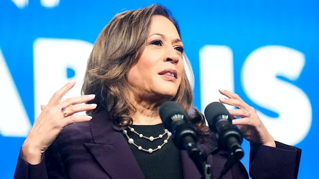 Possible Kamala Harris presidency should concern small business owners, entrepreneur says