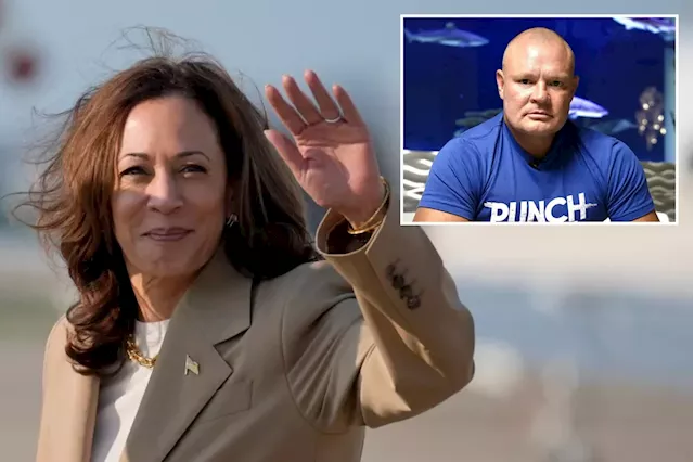 Kamala Harris presidency would cause business owners to 'lose their American dream,' entrepreneur says