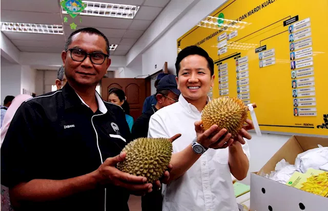 Ministry sets sights on international market with MDUR88 durian variety