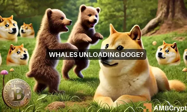 Dogecoin market watch: Is a rally possible amidst whale selling?