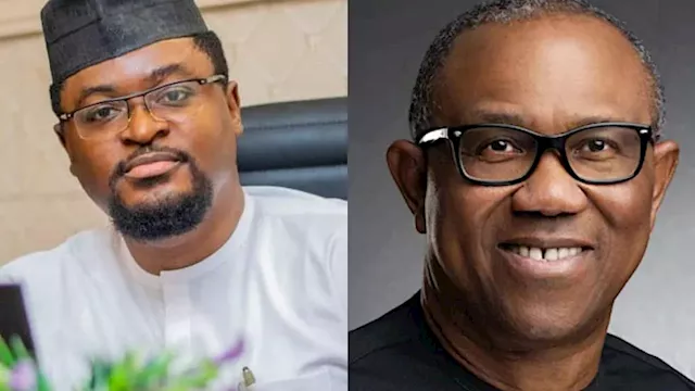 FG replies Peter Obi, denies correlation between Harvard Business School, Nigeria’s image