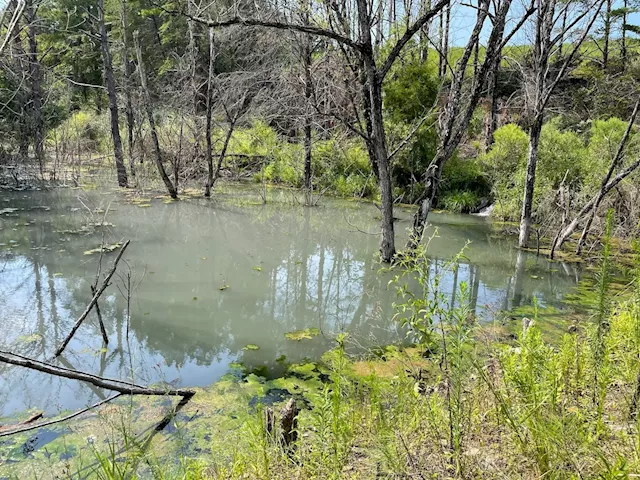 Coal company reaches agreement to stop pollution from Tuscaloosa County mine