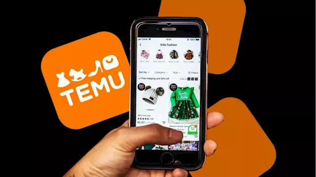 Chinese online store Temu faces supplier backlash over business model shift