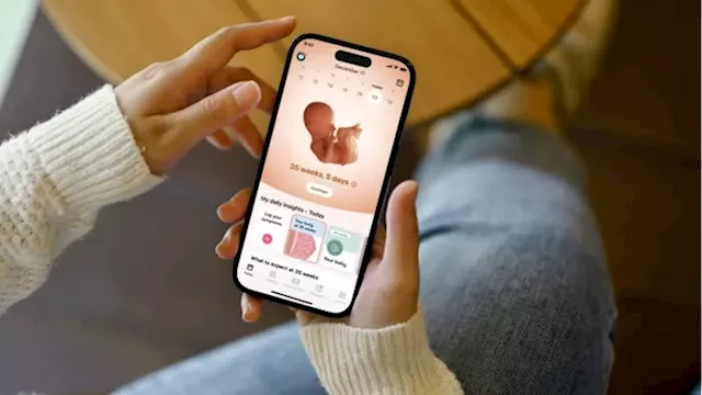 Fertility app Flo valuation reaches $1bn as women’s health market takes off